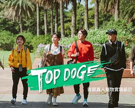 果冻传煤《TOP DOG》免费在线观看
