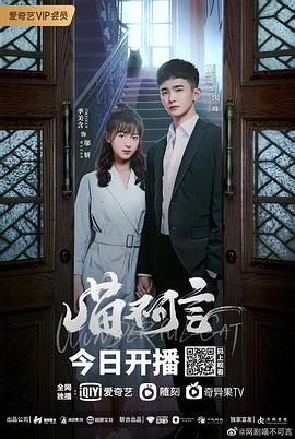 果冻视频《喵不可言》免费在线观看