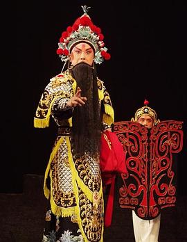 果冻视频《袁崇焕2009》免费在线观看